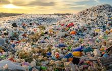 Benarkah Plastik Terkandung di Aliran Darah yang Tersumbat? Begini Kata Peneliti