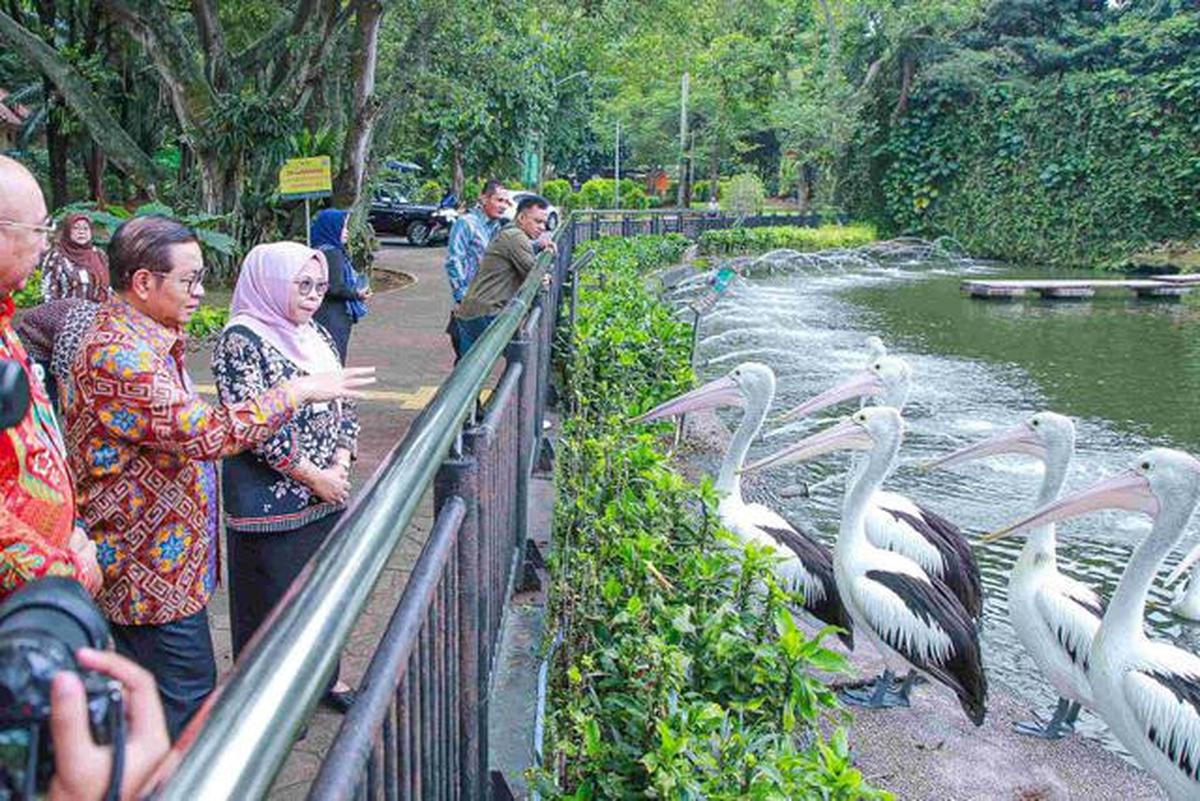 Libur Natal 2025, Pengunjung Ragunan Diprediksi Tembus 50 Ribu Hari Ini