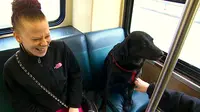 Perjalanan Anjing Hitam Naik Bus Sendirian ke Taman