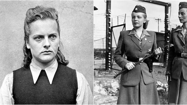 (c)wikipedia.org/histomil.com