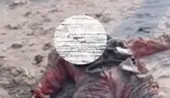 Mayat Tanpa Kepala Mengapung di Pantai Lampung