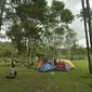 Objek wisata Telaga Tambing di Taman Nasional Lore Lindu. Lokasi itu menjadi andalan wisatawan untuk berlibur dengan berkemah. Sejak 17 Maret, kawasan konservasi itu masih ditutup karena pandemi Covid-19. (Foto:Liputan6.com/ Heri Susanto).