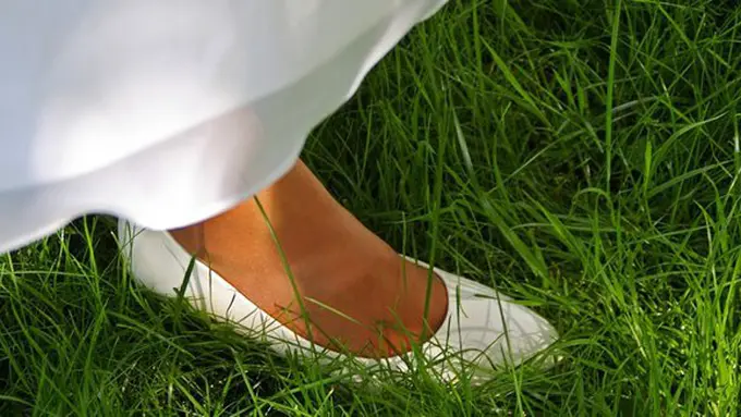 Ilustrasi./Copyright pixabay.com