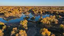 Foto yang diabadikan pada 18 Oktober 2020 ini menunjukkan pemandangan musim gugur di hutan poplar gurun (populus euphratica) di Wilayah Ejin, Daerah Otonom Mongolia Dalam, China utara. (Xinhua/Lian Zhen)