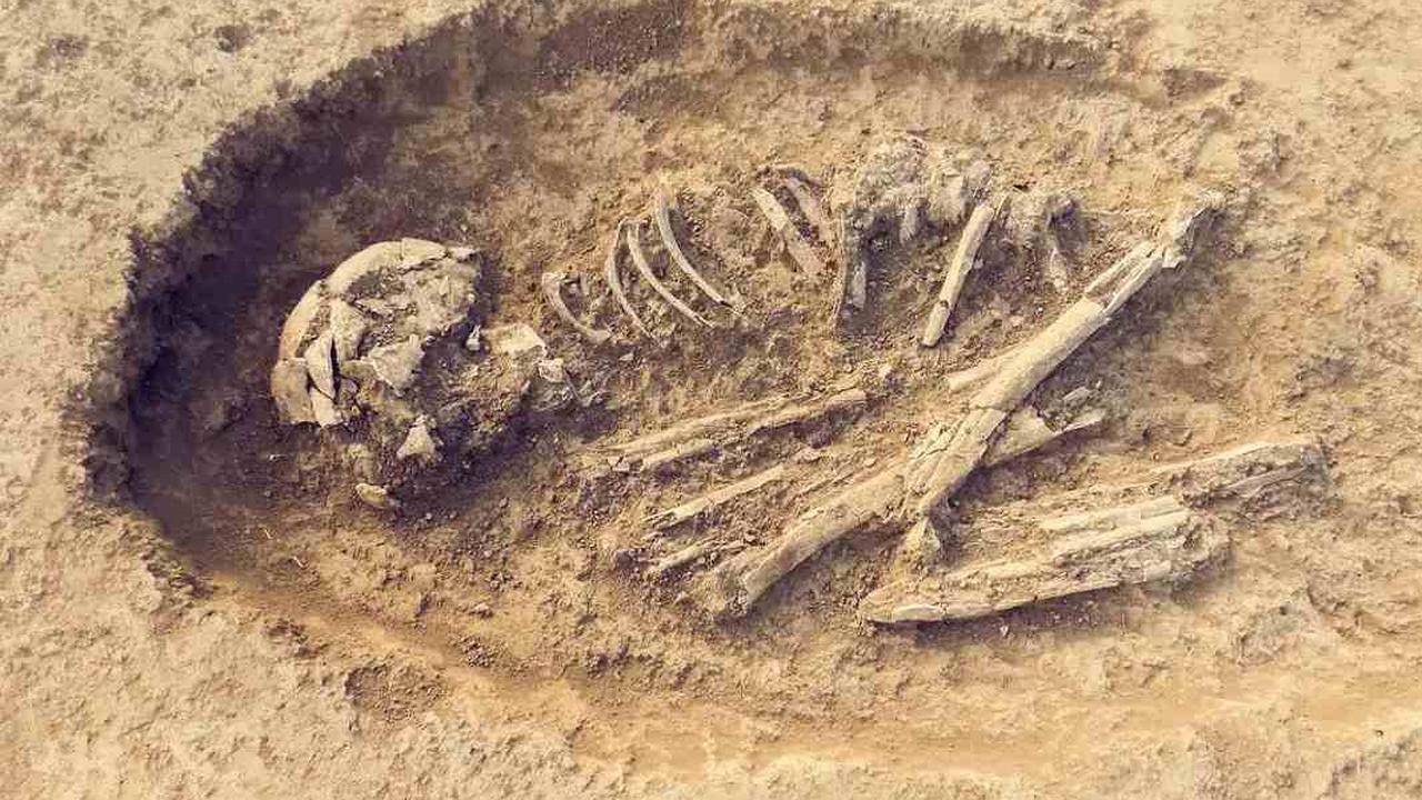 Ilmuwan Keliru, Fosil yang Dikira Manusia Tertua di Jepang Ternyata Bukan Manusia