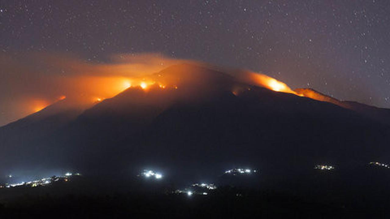 Gunung Dempo terbakar, satwa liar serbu perkampungan
