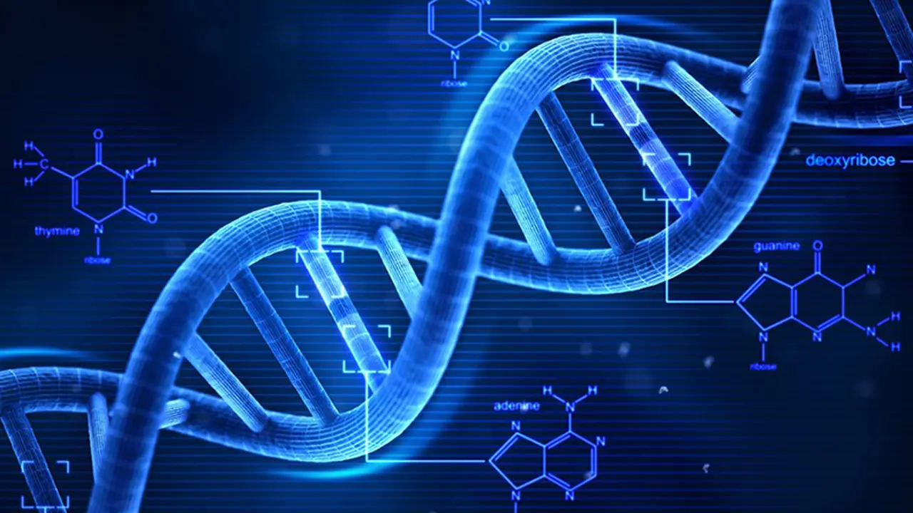 Tes DNA Prediksi Diet Paling Efektif untuk Anda