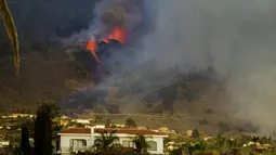 Lava mengalir dari letusan gunung berapi Cumbre Vieja di pulau La Palma di Kepulauan Canaria, Spanyol, Minggu (19/9/2021). Sebelum kejadian ini aktivitas seismik sudah terasa di sekitar lokasi selama sepekan. (AP Photo/Jonathan Rodriguez)
