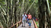 Menyusuri Jembatan Instagramable saat Berlibur ke Hutan Bambu Abad ke-13