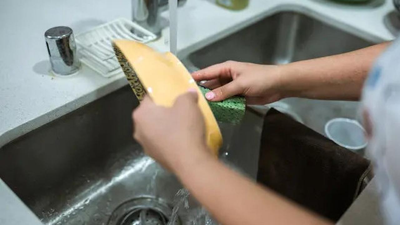 Cara Mudah Mencuci Piring Plastik Agar Tidak Bau Amis Daging Kurban, Cukup dengan Bahan Dapur