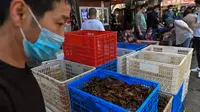 Foto pada 15 April 2020, sekeranjang udang yang dijual di salah satu toko  di Pasar Baishazhou Wuhan di Wuhan, provinsi Hubei. Lebih dari 90 persen kios pasar basah di Wuhan telah kembali buka sejak pemerintah mencabut aturan lockdown di wilayah pusat pandemi corona tersebut. (Hector RETAMAL/AFP)