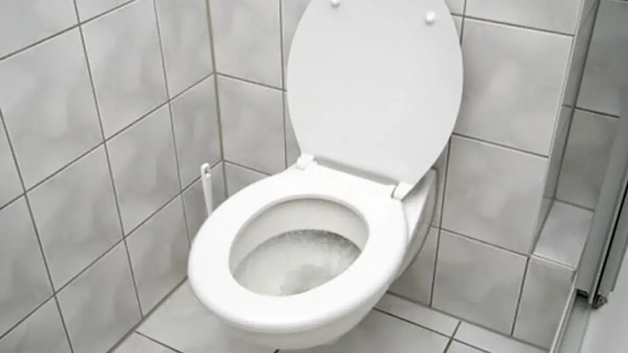 toliet-131206c.jpg