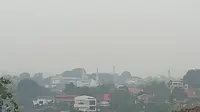 Kabut Asap Batam, Ombudsman Minta Siswa Belajar di Rumah