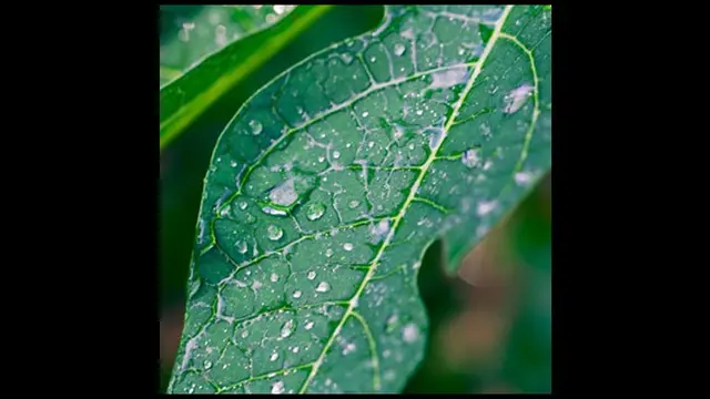 Photo copyright weheartit.com