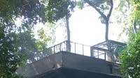 Secercah Asa dari Kafe di Tengah Arboretum Kemenhut yang Hangus Dibakar dan Dijarah Massa