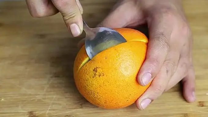 Photo copyright Elite Daily