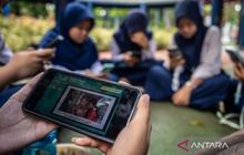 Kepatuhan PSE PP Tunas: Komdigi Beri Waktu Tiga Bulan, Google Kena Teguran