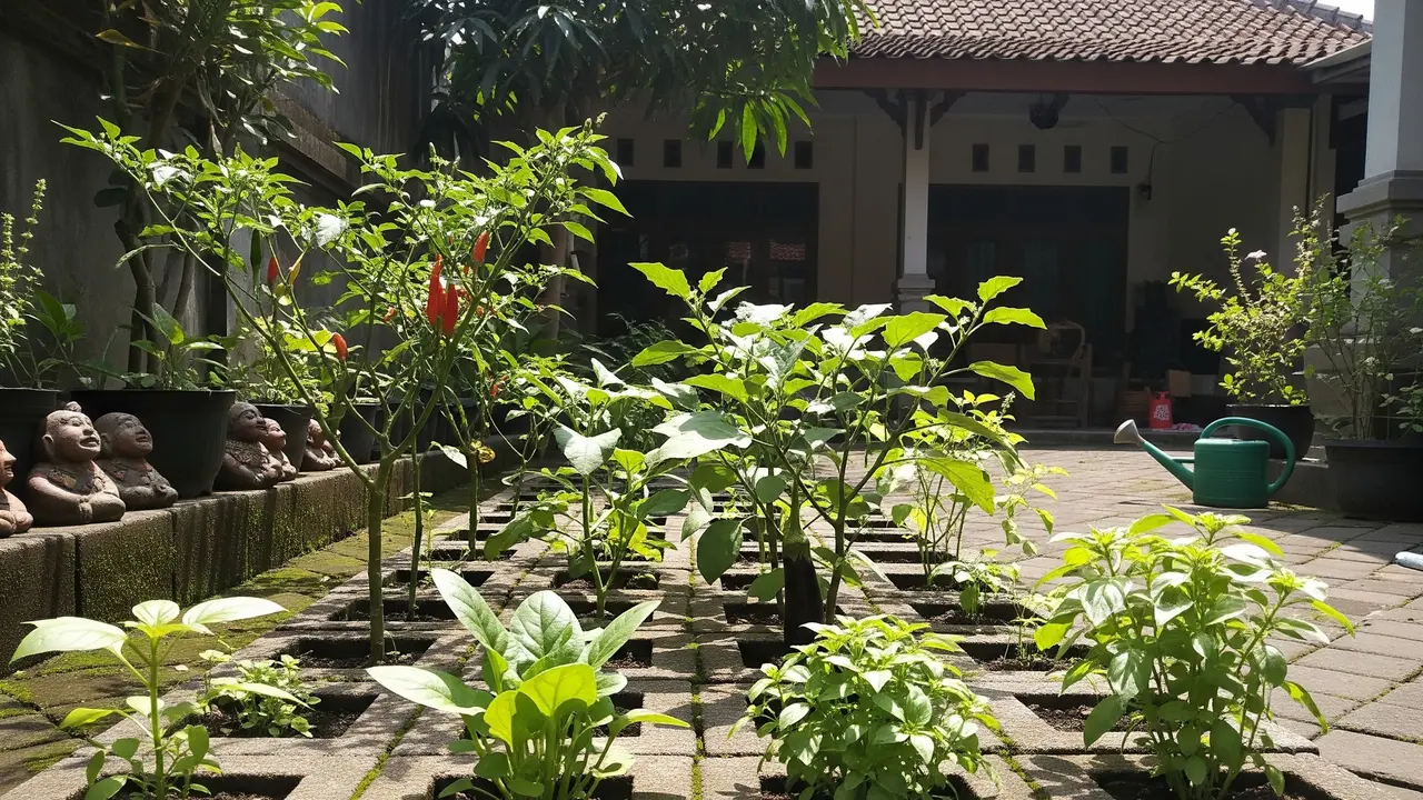 6 Cara Menanam Sayuran di Paving Block, Ide Kreatif Maksimalkan Halaman