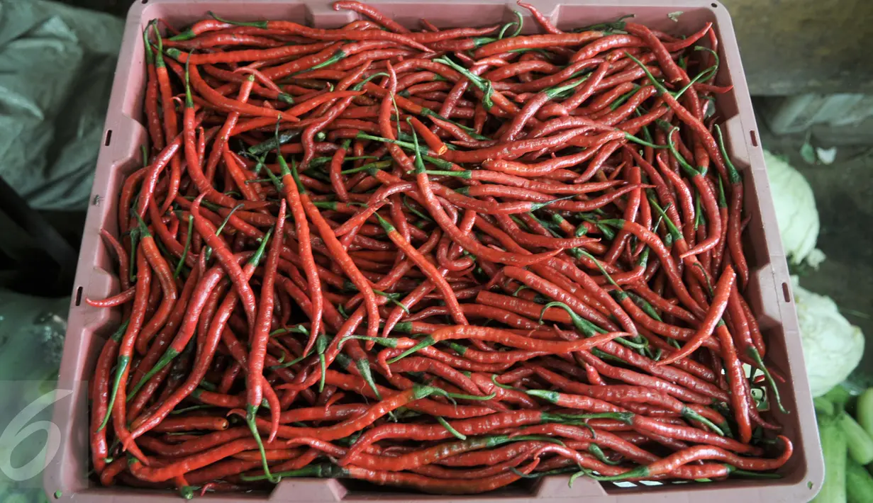Harga cabai keriting merah melonjak drastis di pasar tradisional, Jakarta, Senin (10/10). Kenaikan harga cabai keriting terimbas kondisi cuaca yang kurang baik sehingga membuat pasokan berkurang. (Liputan6.com/Yoppy Renato)