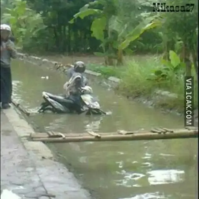 6 Momen Apes Orang di Sungai Ini Bikin Elus Dada, Gagal Main Air