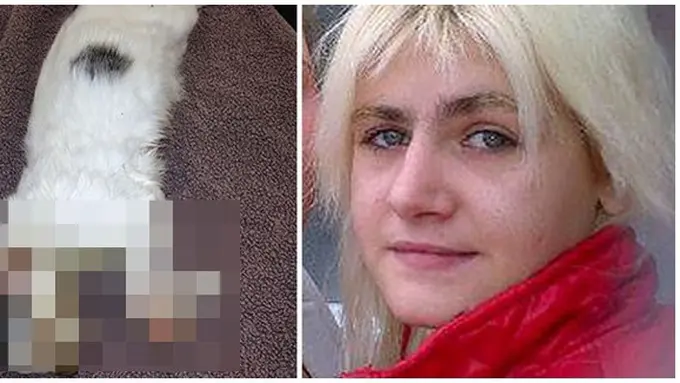 Photo copyright Mirror.co.uk