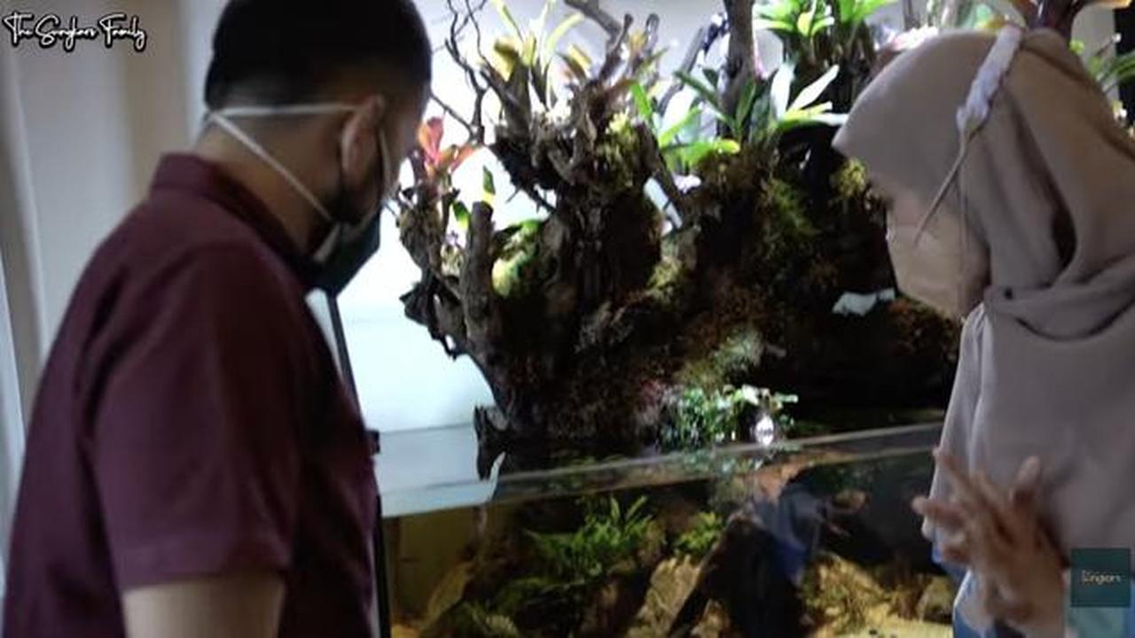 Potret Ruang Tamu Minimalis Rumah Cut Meyriska dan Roger Danuarta/Youtube/The Sungkars