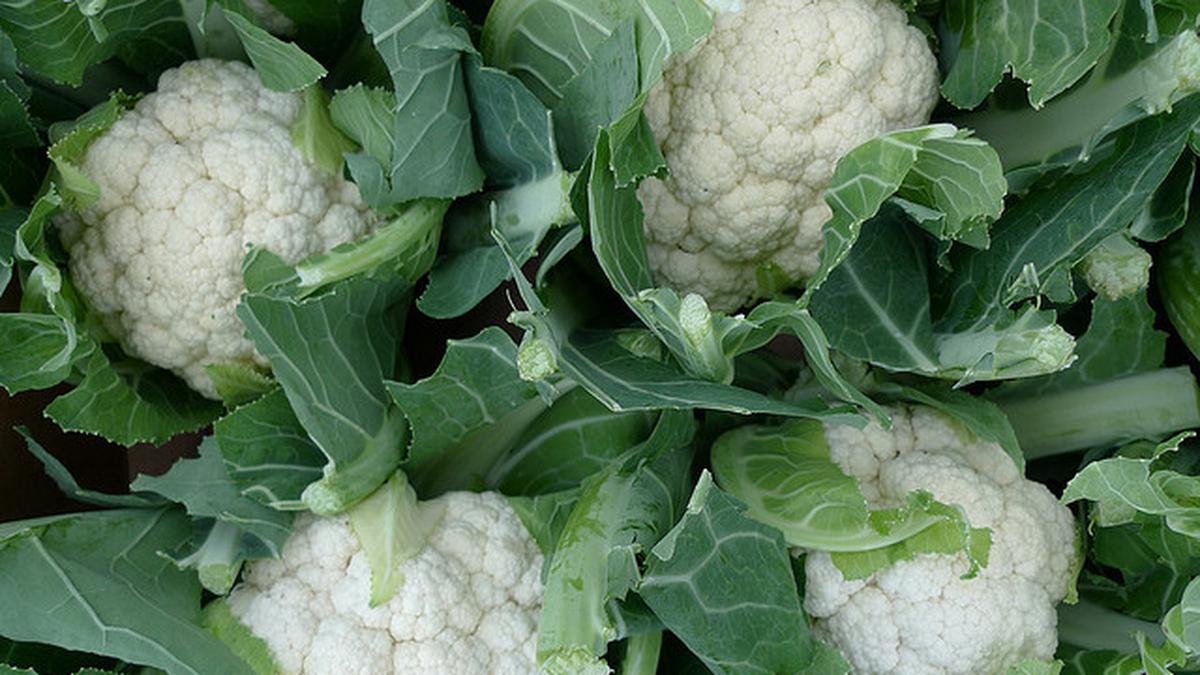 4 Manfaat Kembang Kol bagi Kesehatan Tubuh Health