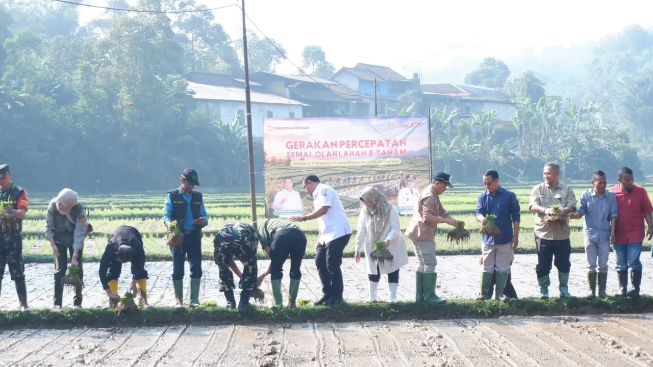 Petani di Sukabumi mulai menanam padi