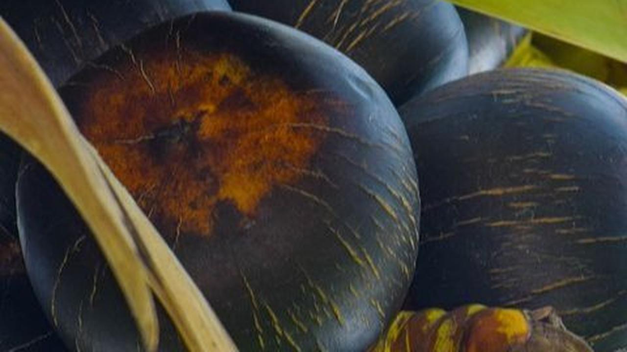 Manfaat Buah Lontar Bagi Kesehatan, Menjaga Hidrasi hingga Lancarkan Pencernaan