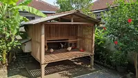 9 Desain Kandang Ayam Agar Kotoran Tidak Menumpuk, Bersih Bebas Bau