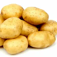 Kentang cocok di konsumsi oleh ibu hamil dan anak-anak karena bisa meningkatkan fungsi otak (Sumber foto: Poland.wikia.com)