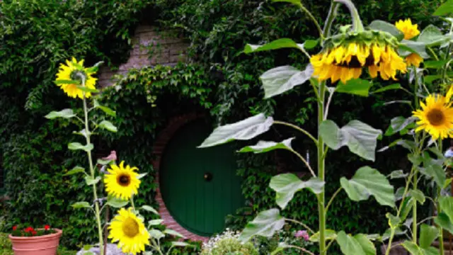 Ilustrasi rumah Hobbit (iStock)