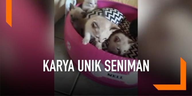 VIDEO: Seniman Brazil Buat Tempat Tidur Hewan dari Ban Bekas