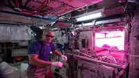 Brilian, Astronot Bercocok Tanam di Luar Angkasa