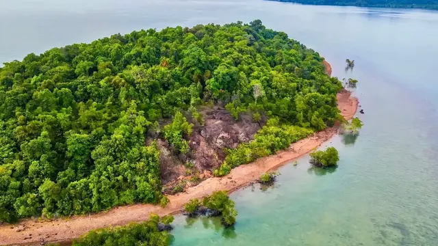 Pulau Viral Dijual