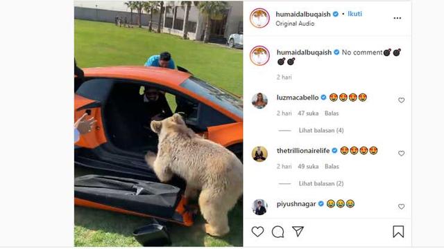 Pintu Lamborghini Huracan Performante dirusak oleh beruang (Humaid Al Buqaish)