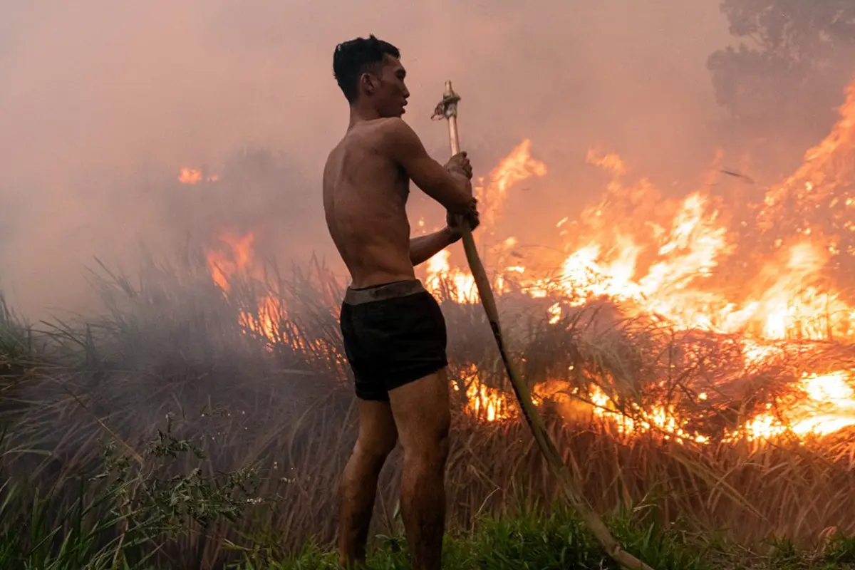 Kebakaran Lahan Gambut di Ogan Ilir