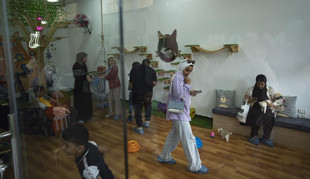 Di tengah tantangan hidup di Jalur Gaza, terkekang oleh blokade selama 17 tahun dan konflik yang terus berlangsung, kafe kucing pertama kali ini menawarkan keunikan ruang untuk relaksasi dan interaksi manusia-hewan yang positif. (AP Photo/Fatima Shbair)