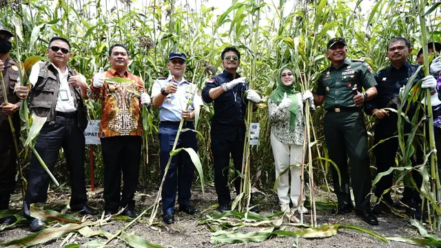Kementan
