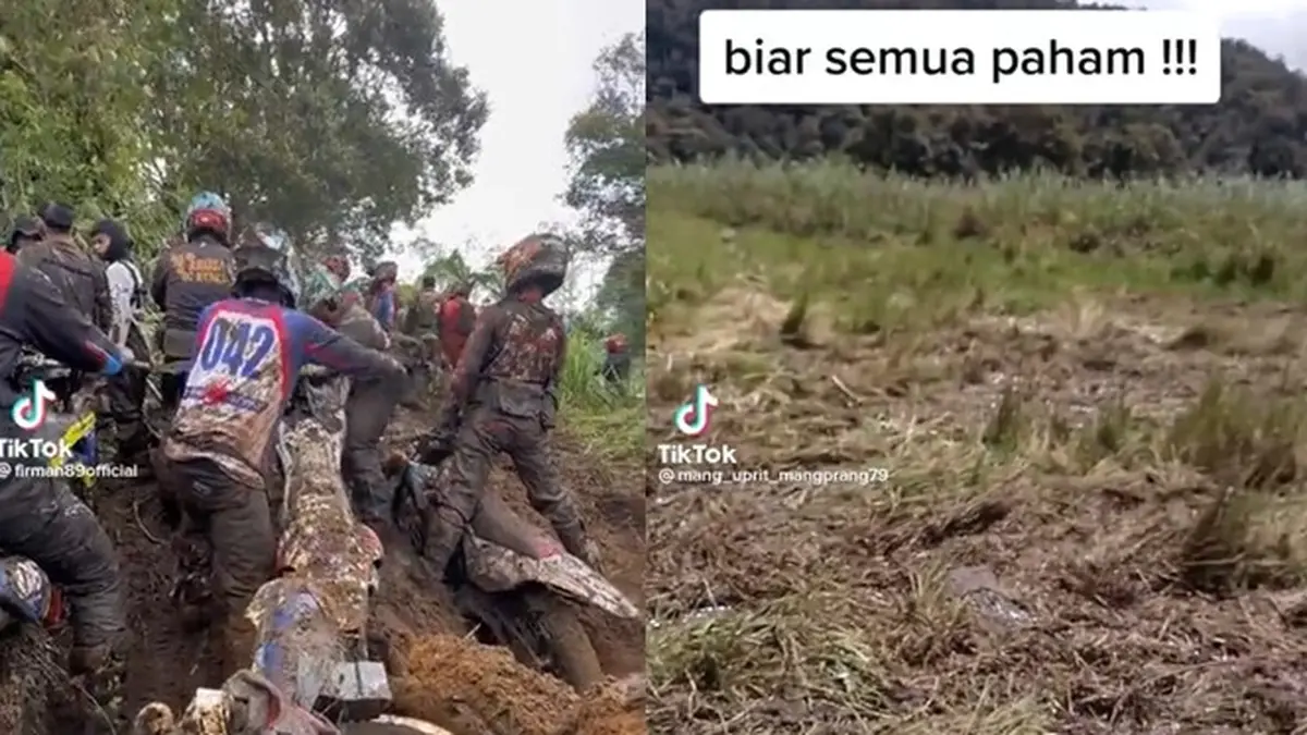 Berita Edelweiss Rawa Hari Ini - Kabar Terbaru Terkini | Liputan6.com
