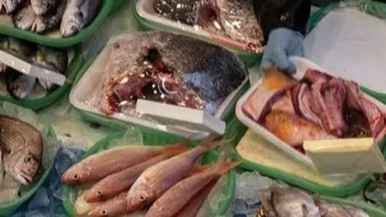 Sebagai orangtua, memberikan asupan gizi yang baik, termasuk ikan, merupakan langkah positif untuk mendukung tumbuh kembang anak secara optimal.
