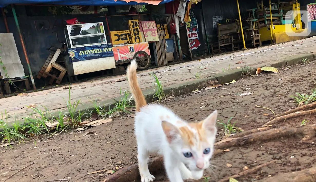 Suasana perkampungan budaya betawi Setu Babakan yang sepi pengunjung di Jakarta Selatan, Selasa (17/3/2020). Sepinya kawasan Setu Babakan merupakan imbas dari kebijakan Pemprov DKI Jakarta yang menutup sejumlah tempat wisata sebagai upaya pencehagan Covid 19. (Liputan6.com/Immanuel Antonius)