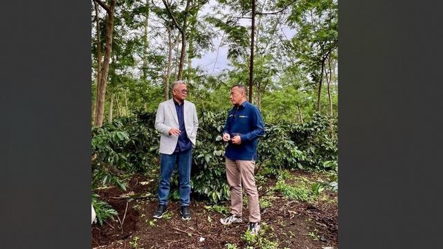 Kerjasama operasional (KSO) dua subholding PTPN III (Persero), yakni PTPN IV PalmCo dan PTPN I SupportingCo di perkebunan Java Coffee Estate yang ada di kawasan Ijen, Jawa Timur berhasil membawa dampak positif.