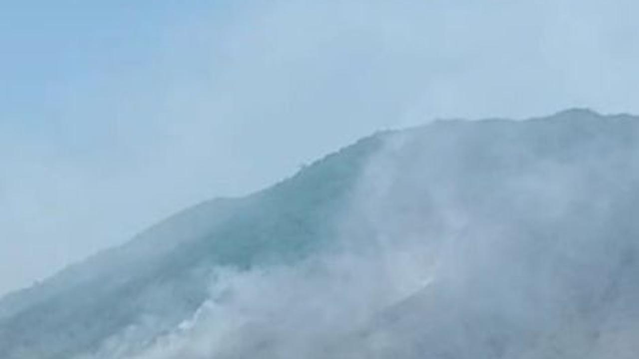 Kondisi Terkini Kebakaran Hutan Taman Nasional Baluran, Tutup untuk Wisatawan hingga Akhir September