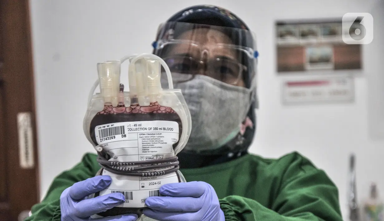 Dokter menunjukkan kantung darah dari salah satu pendonor di Kantor PMI Jakarta Timur, Rabu (28/7/2021). Tiap harinya, PMI Jakarta Timur melayani 20-30 pendonor darah meski jumlah menurun akibat pandemi COVID-19 ditambah keterbatasan akses warga saat PPKM. (merdeka.com/Iqbal S. Nugroho)