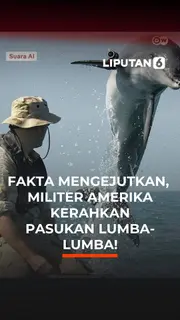 Fakta Mengejutkan, Militer Amerika Kerahkan Pasukan Lumba-Lumba!