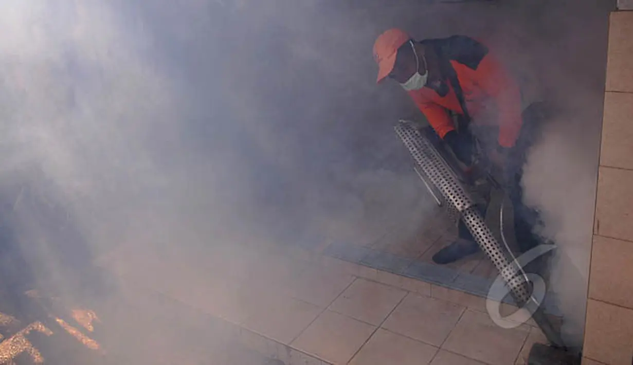 Seorang petugas melakukan pengasapan (fogging) untuk membasmi nyamuk aedes aegypti di kawasan Kebayoran Lama, Grogol Selatan, Jakata, Kamis (18/2). Pengasapan yang dilakukan untuk pencegahan terjadinya demam berdarah (DBD). (Liputan6.com/Johan Tallo)