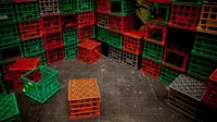 Mengejutkan, Ratusan Peti Susu di India Dicuri Tiap Hari