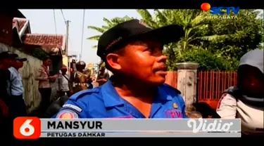 Teror serangan lebah vespa atau tawon ndas masih menghantui warga, Petugas Satpol PP dan Pemadam Kebakaran Kota Mojokerto, Rabu pagi, mengevakuasi sarang tawon vespa dari atas pohon asam yang tumbuh di pekarangan warga.