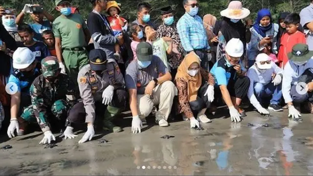 Pelepasliaran anak tukik